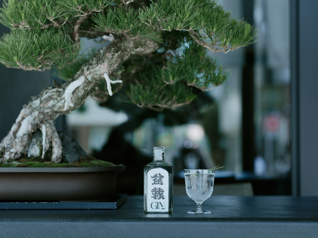 盆栽の象徴「松」を纏うクラフトジン “盆栽ジン” 登場