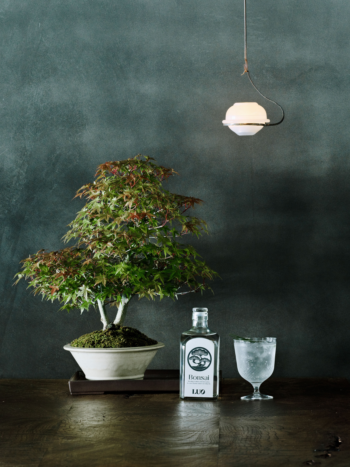 盆栽ジン ×サウナジン 2本セット